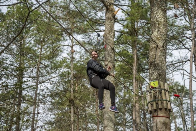 zipline-1024×683