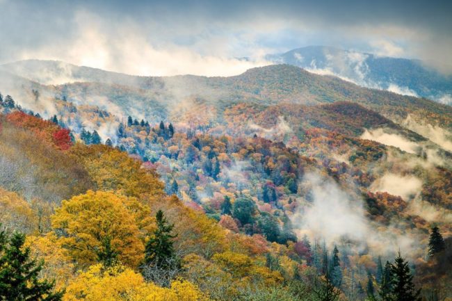GSMNP-1024×682