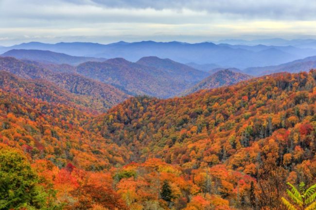 fall-colors-in-gatlinburg-and-pigeon-forge-1024×682