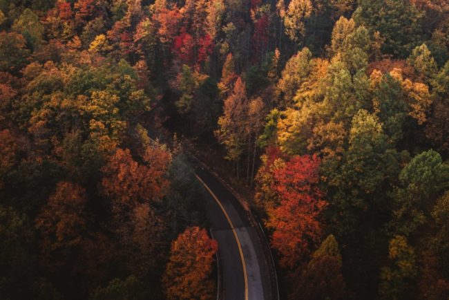 gatlinburg-fall-color-trees-1024×683