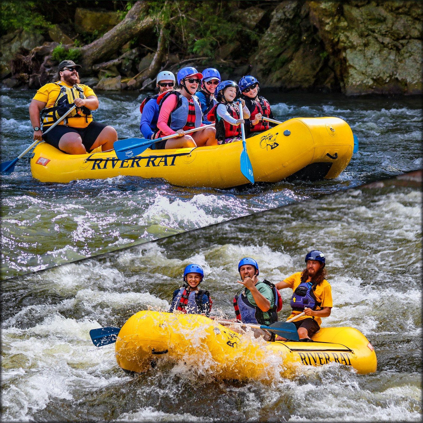 White Water Rafting on the Tennessee Pigeon River