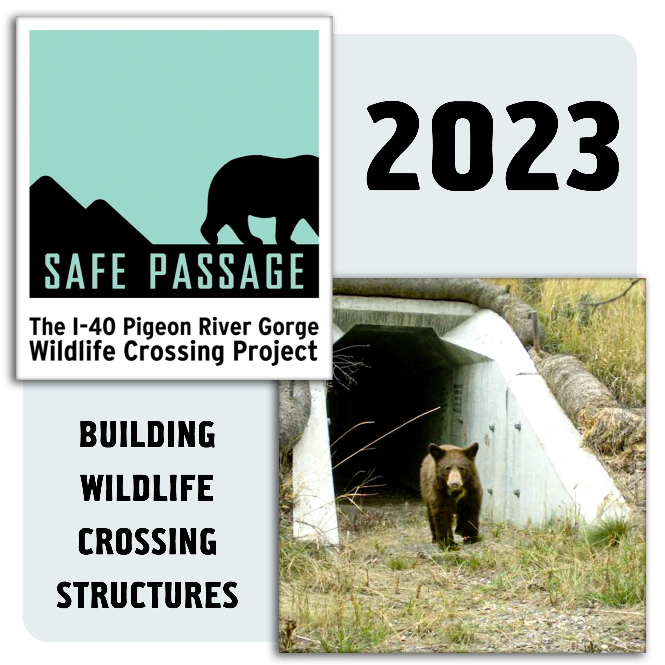 Safe passage river rat whitewater rafting donation 2023