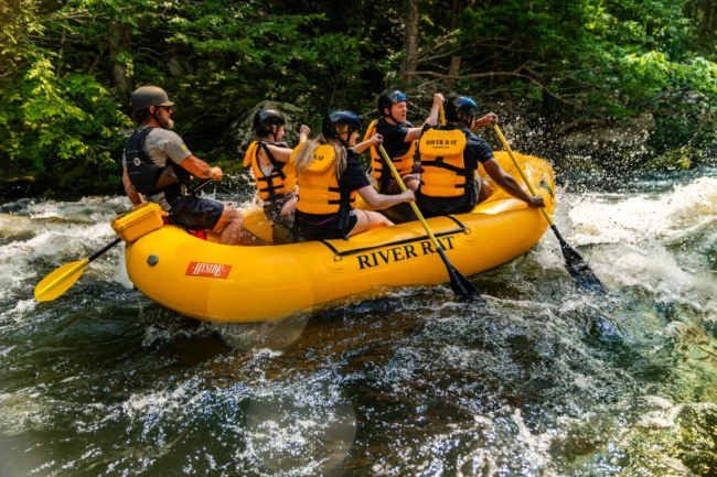smoky mountain river rat whitewater rafting in the smokies